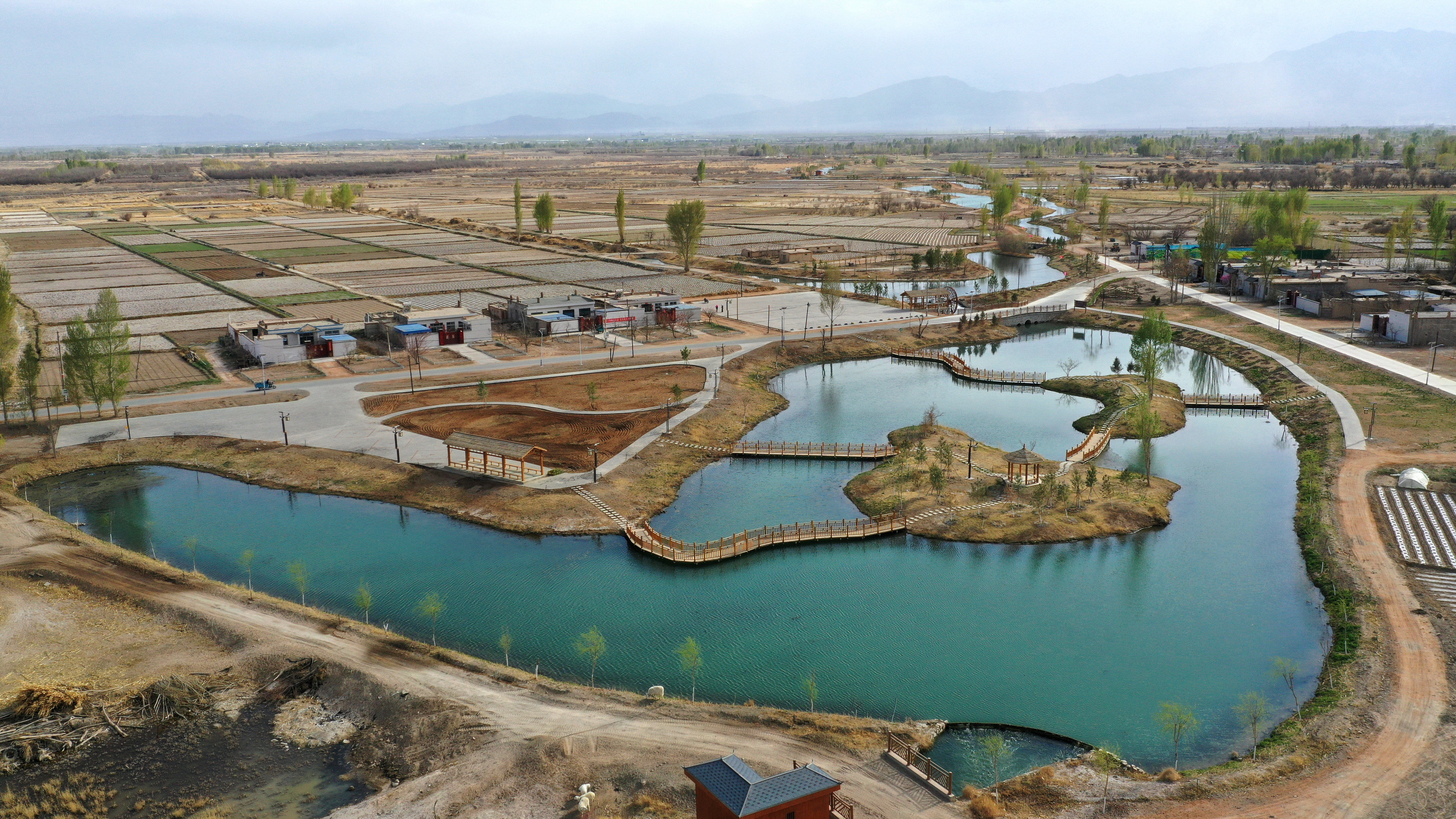 中国科学践行“绿色治水”(图1)