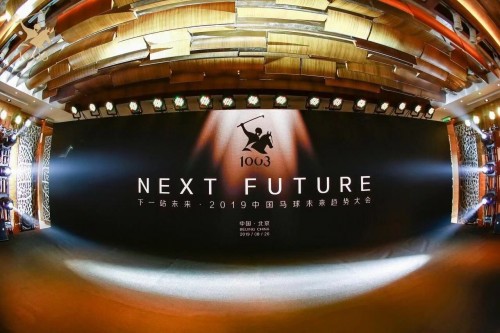 2025媒体管家：中马协马球专业委员会成立后 中国马球未来趋势大会顺利召开