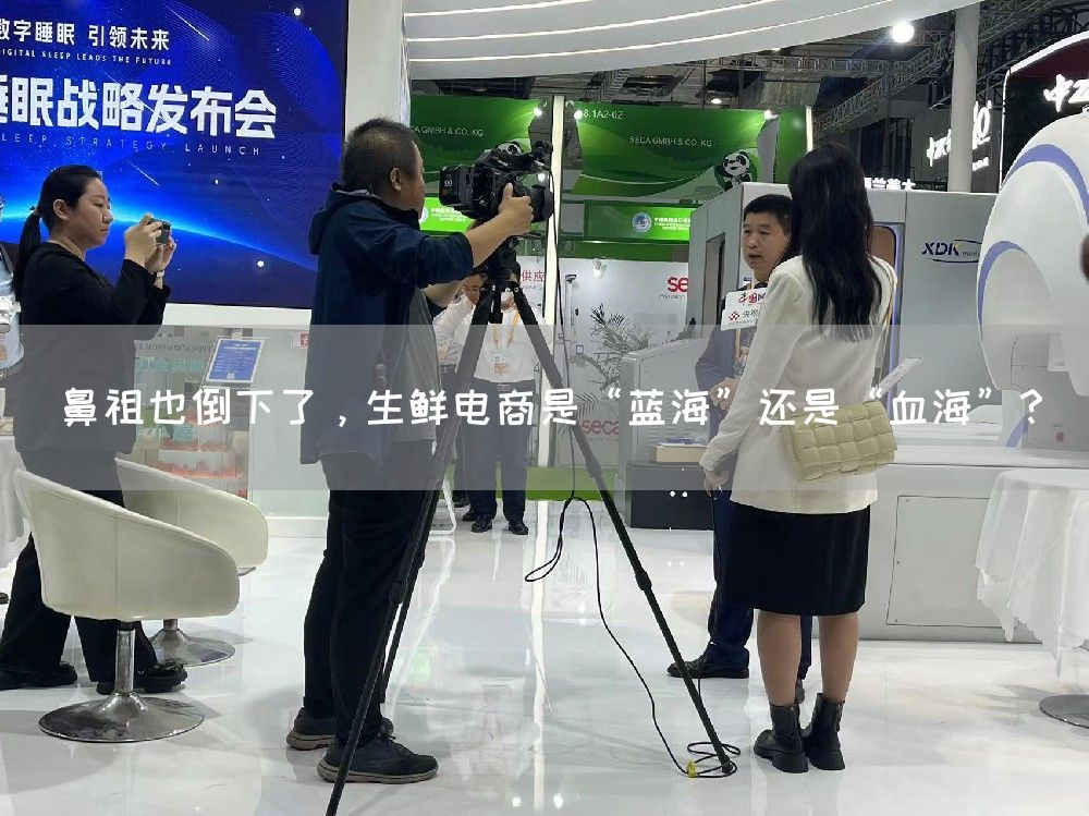鼻祖也倒下了，生鲜电商是“蓝海”还是“血海”？(图1)