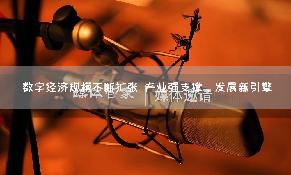 数字经济规模不断扩张 产业强支撑，发展新引擎