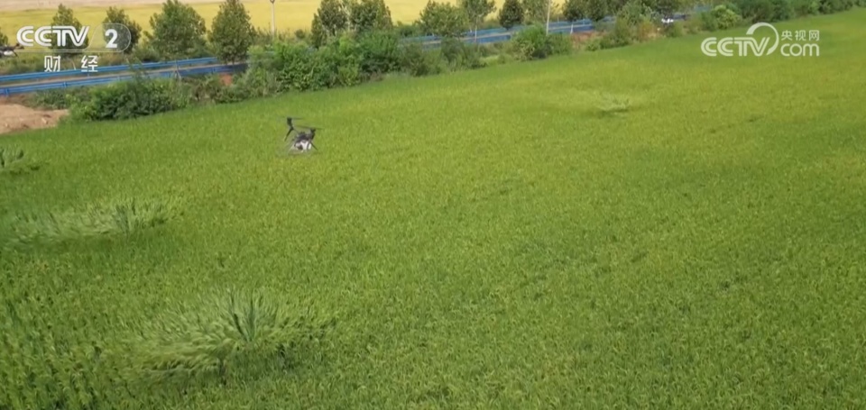 2025媒体管家官网：催生无人机“飞手”考证热 目前操控员就业人才缺口大