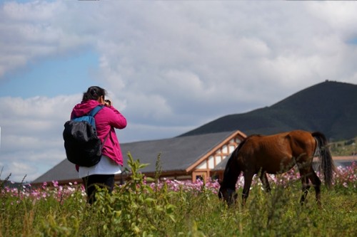 中国报道“祖国，你好”主题摄影大赛京津冀赛区在中国马镇启动(图5)