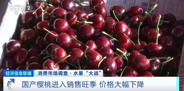 樱桃自由了!水果贵族樱桃一斤直降30元 六七月份还会继续降(图2) 樱桃自由了!水果贵族樱桃一斤直降30元 六七月份还会继续降(图2)