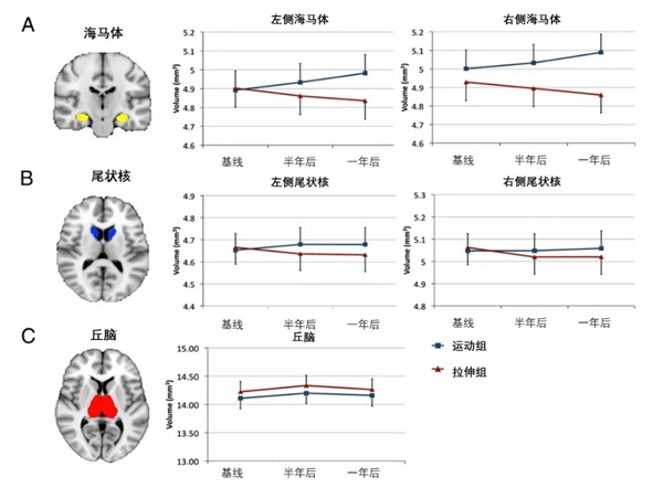 被低估太久!这项平价运动不仅能瘦:还能把你的坏情绪打出去