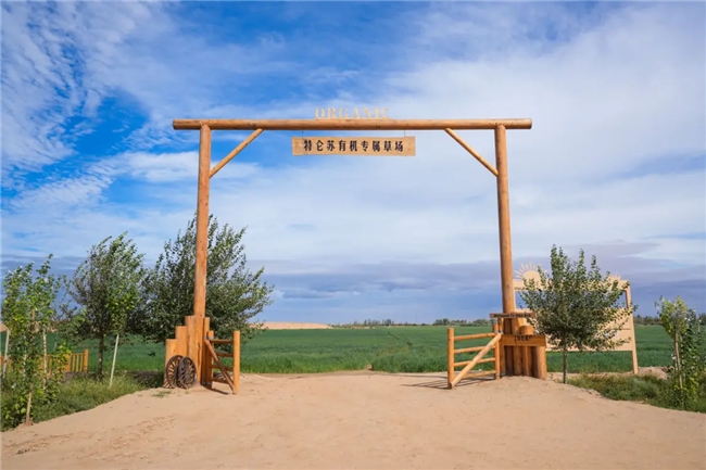 乳业考卷：14亿人的“营养大题”，蒙牛如何作答？(图3)